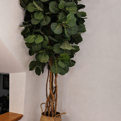 6 ft Artificial Fiddle Leaf Fig Tree with Basket Planter