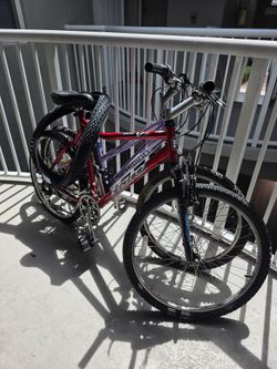 2 Adult Bikes + 2-Bike Hitch Rack