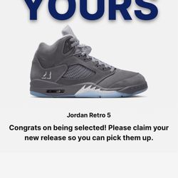 Jordan 5 Wolf Grey