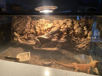 36 Gallon Custom Reptile Tank For 125