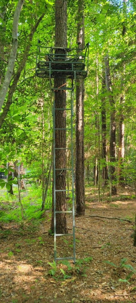 Two Person Tree Stand