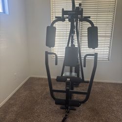 Schwinn All In One Home Gym