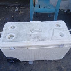 Ice chest just needs cleaning