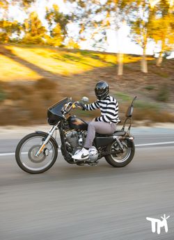 Harley Sportster