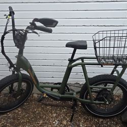Rad Power E Bike 