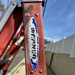 Werner Professional Multi Purpose Ladder 