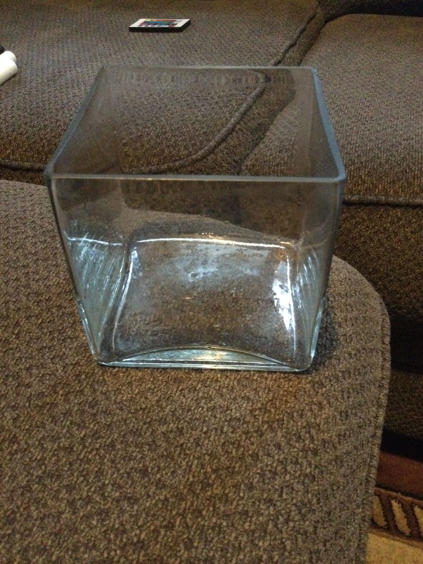 Glass terrarium