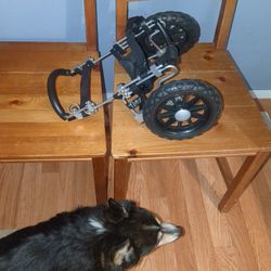Doggie Wheel Cart