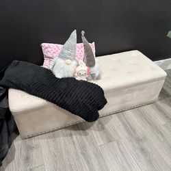 ottoman with storage