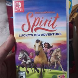 Nintendo Switch Videogame 