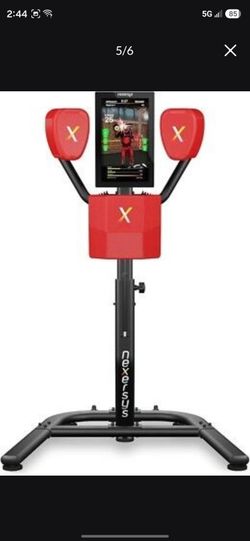Nexersys Interactive Boxing Trainer