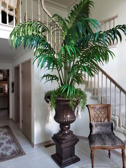 Pedestal, Planter & Artificial Plant