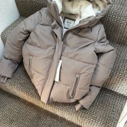 Hollister Winter Coat