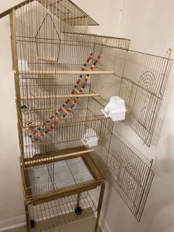 Large gold bird cage.