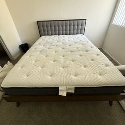 Queen Walnut Bedframe  & Mattress (sold Together Or Separate) 