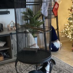 Bird Cage