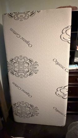 Electric Bed and Mattress