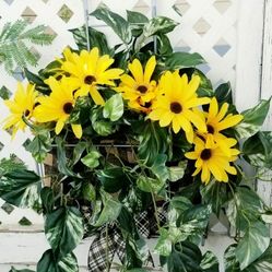 Floral arrangements 