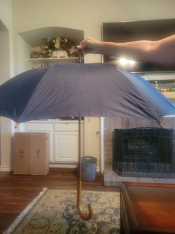 Star Chart Umbrella