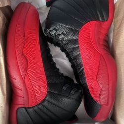 Size 12 Air Jordan 12 Flu Game