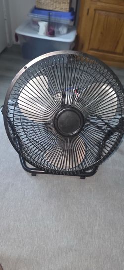 Fan