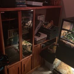 Old Entertainment Center 