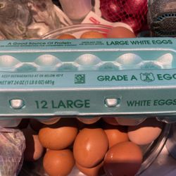Egg Carton With Eggs