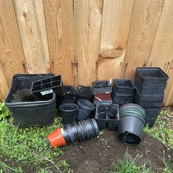 Assorted Planting Pots