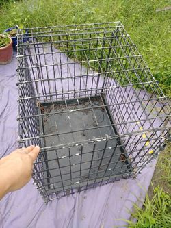 Med-large dog cage/kennel