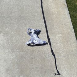 Harness and leash for dogs