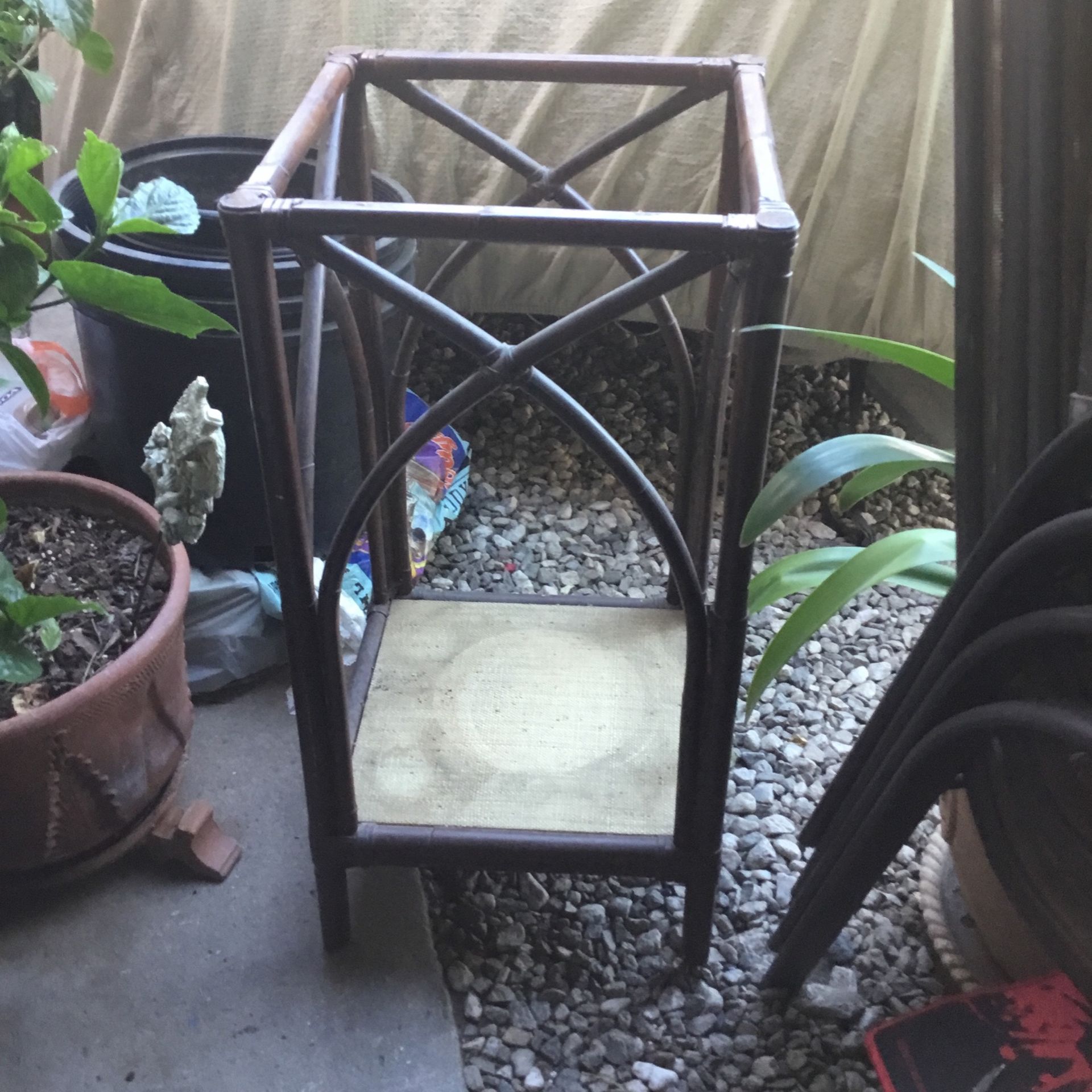 Plant Plant Bamboo .