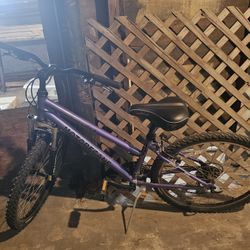 Womens Hybrid Bike For Sale