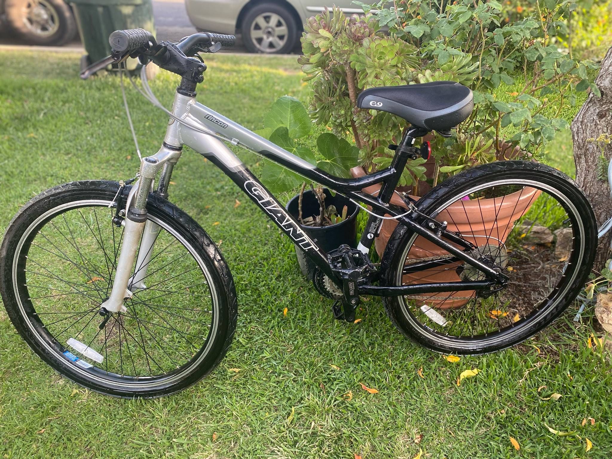Giant Bike