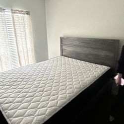 Queen Size Bed And Dresser Mattress And Box spring Included 