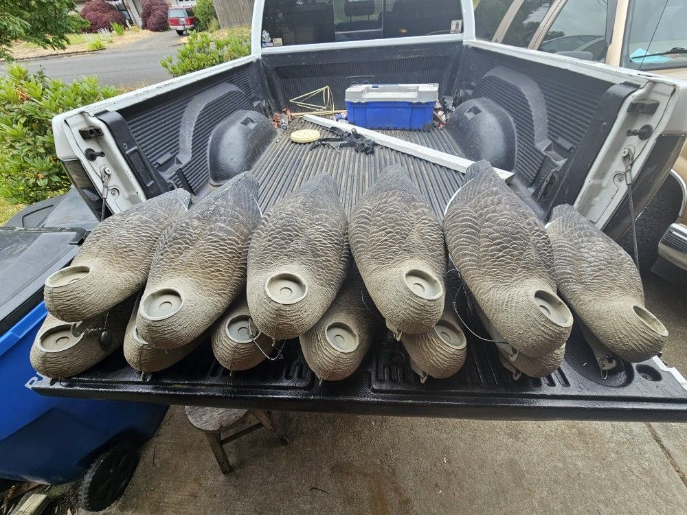 Goose Decoys