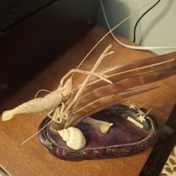 11x9 Carved Horn Depicting Shrimp & Aquatic Plants
