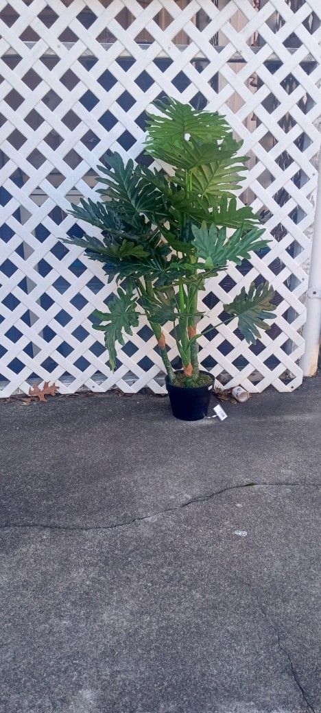 New Designer Silk Bamboo Plant Very R Looks ReL