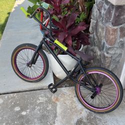 Fitbikeco/Van Homan BMX Dirt bike 