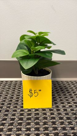 Small Fake Plants 