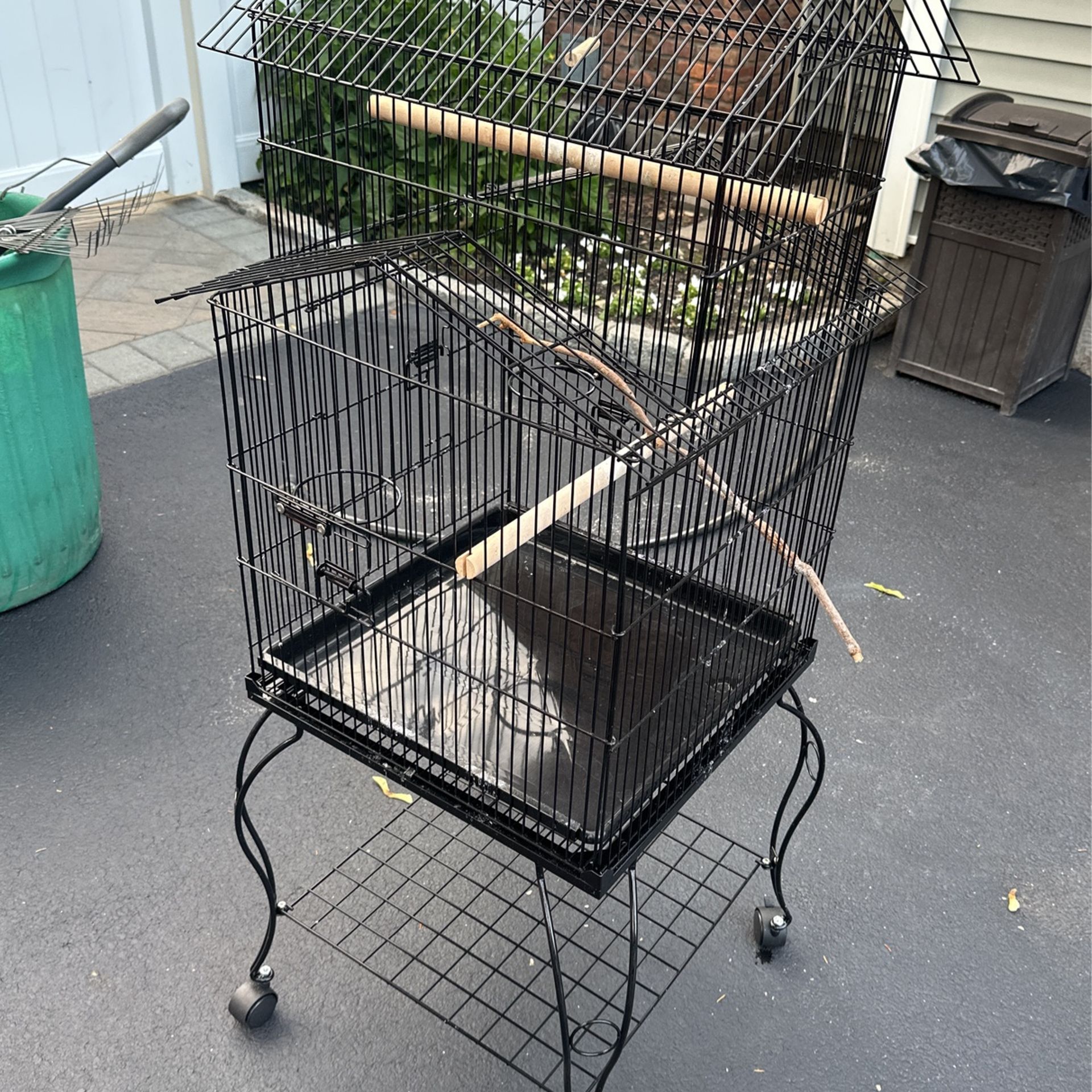 Bird Cage 