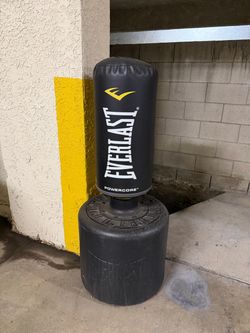 Everlast Boxing Punching Bag