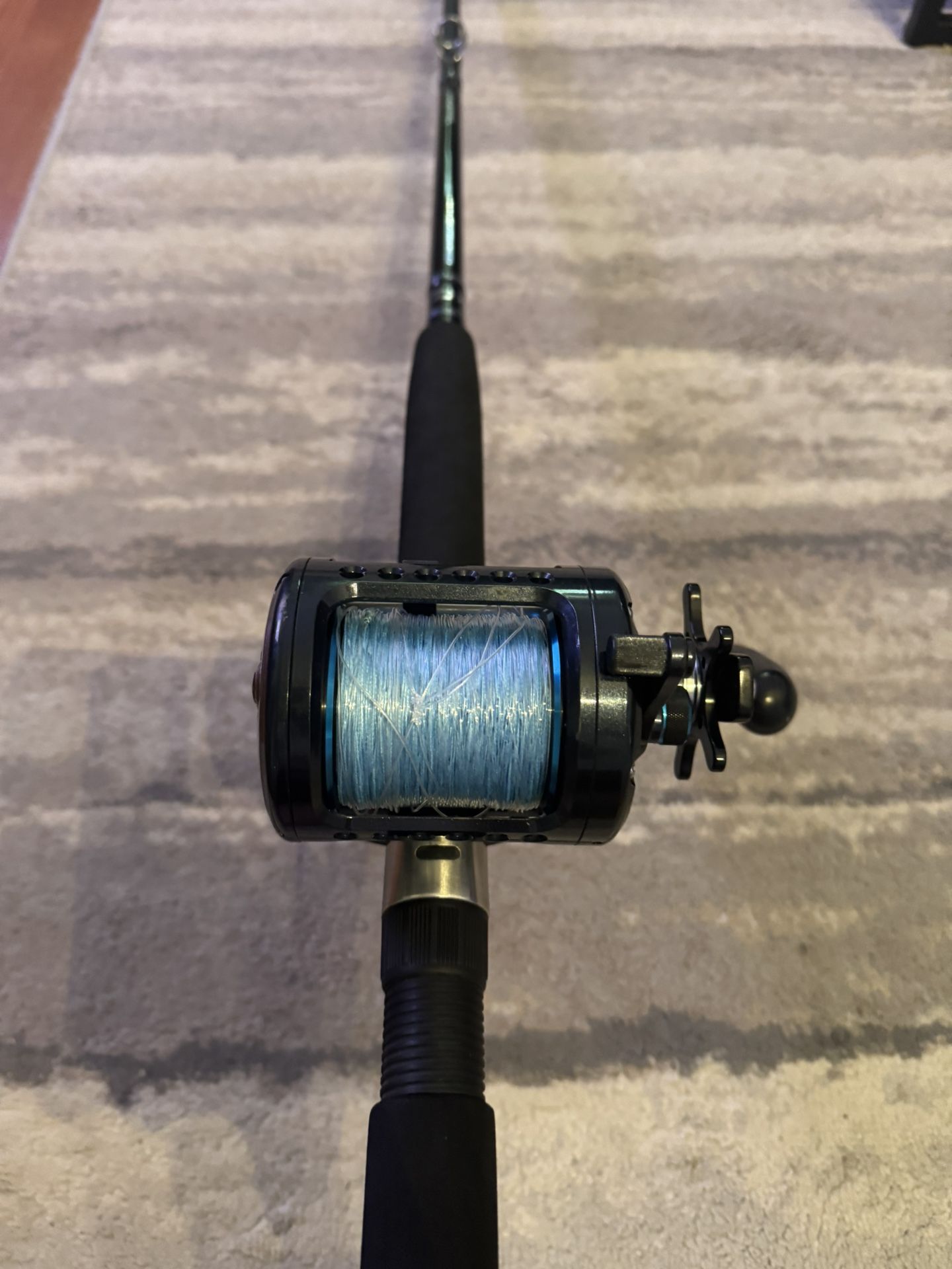 Diawa Saltiest LW 50HB And Diawa Eliminator Rod! 140$OBO! 