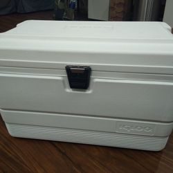 Igloo Cooler 