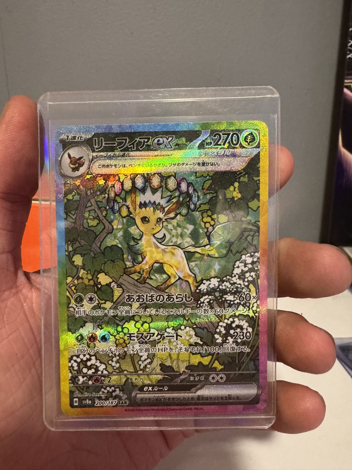Pokémon Cards