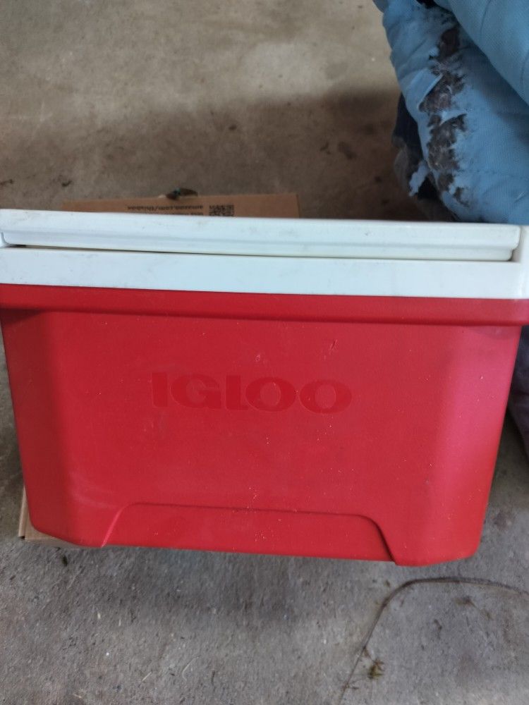 Igloo Cooler