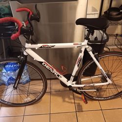 Denali 21 Speed Alloy Bike
