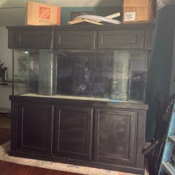 160 Gallon Fish Tank