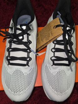 Nike Mens' Air Zoom Pegasus41 Sneakers - Photon Dust/Metallic Silver/Ashen Slate size 9.5