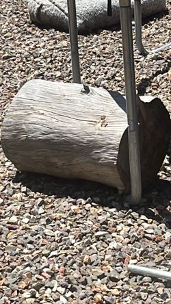 Tree stump