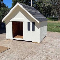 Dog house 